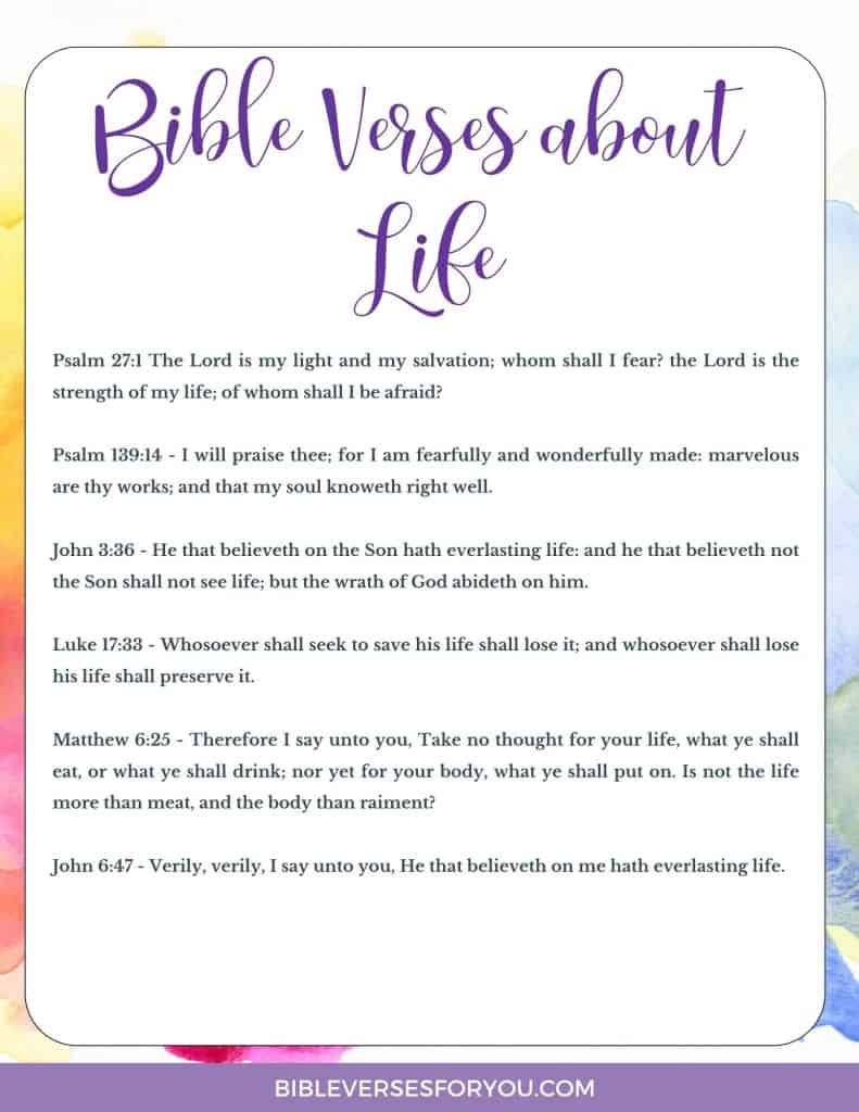 Grab these 5 Beautiful Bible Verses about Life to help you as a Christian woman struggling to make sense of life. 