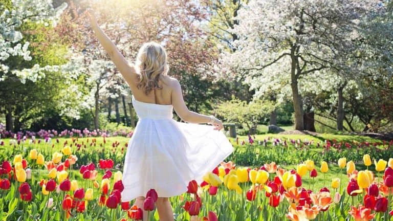 20 Bible Verses about Happiness