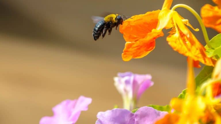 20 Meaningful Bible Verses about Life