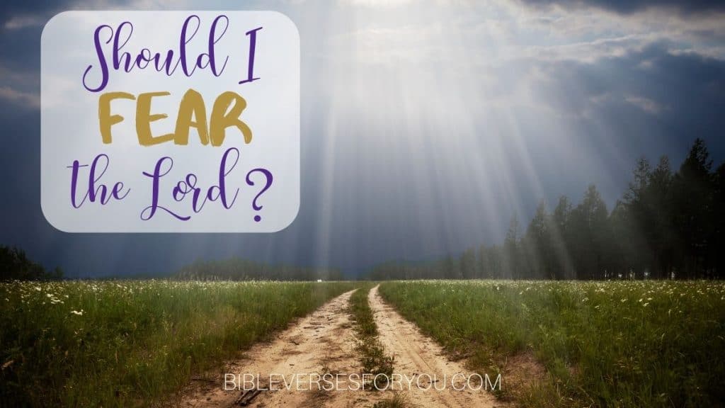 Should I fear the Lord? The Bible tells us what to fear, and it's not men.