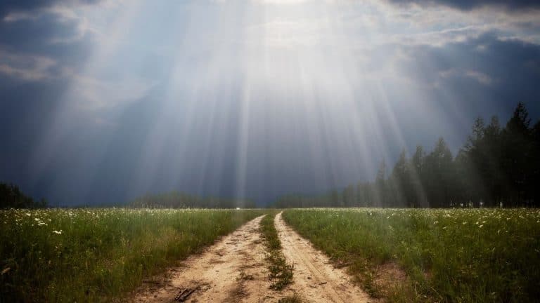 What Does it Mean to Fear the Lord?