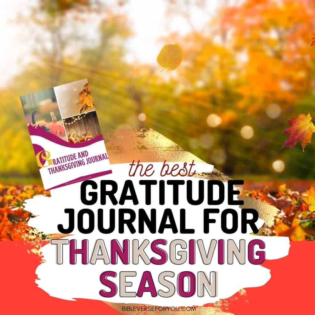Need a better attitude of gratefulness? Try our Gratitude Journal with Prompts to start each day with joy and peace.