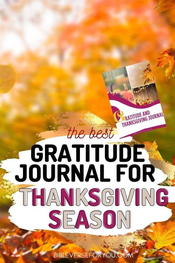 Need a better attitude of Gratitude? Try our Gratitude Journal prompts to change your life in a positive way.