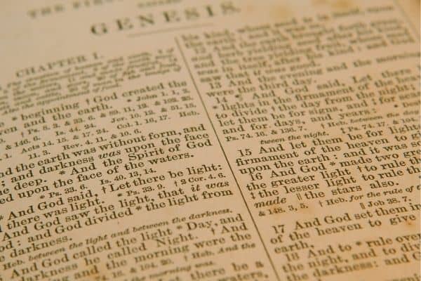 Wondering if you should read the bible chronologically? You may be surprised to hear the answer!