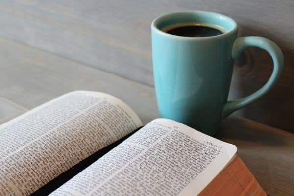 Having a Printable Bible Reading Plan is key to a successful relationship with the Lord.