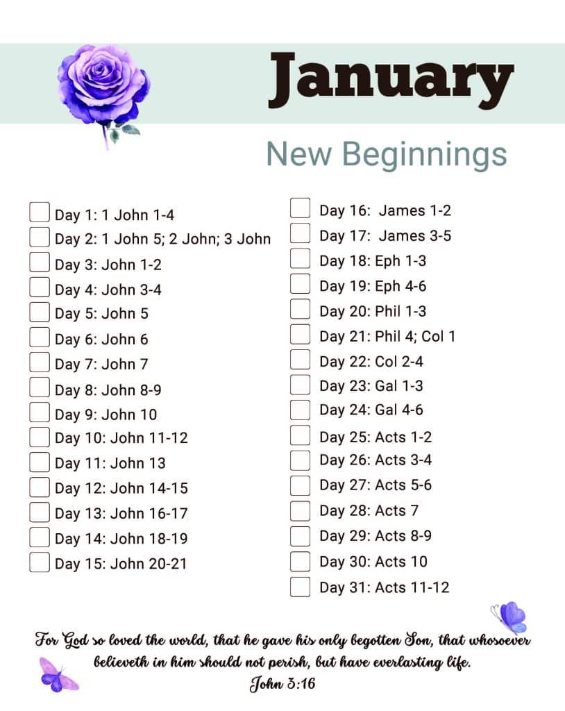 Daily Bible Reading Plan for January with new testament books.