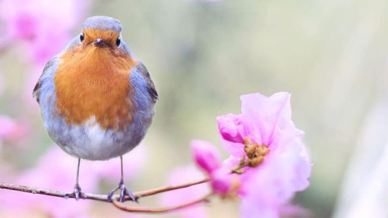 Smile Worthy Bible Verses about Joy