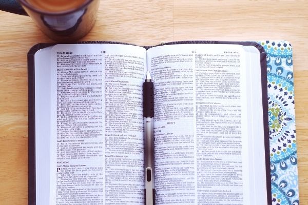 Studying the bible and having a journal is an important part of the bible reading process. Here's how to start reading the bible the right way.