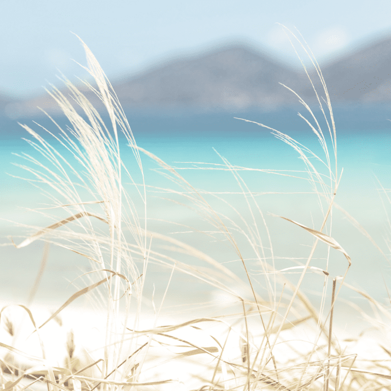 12 Calming Bible Verses about Peace