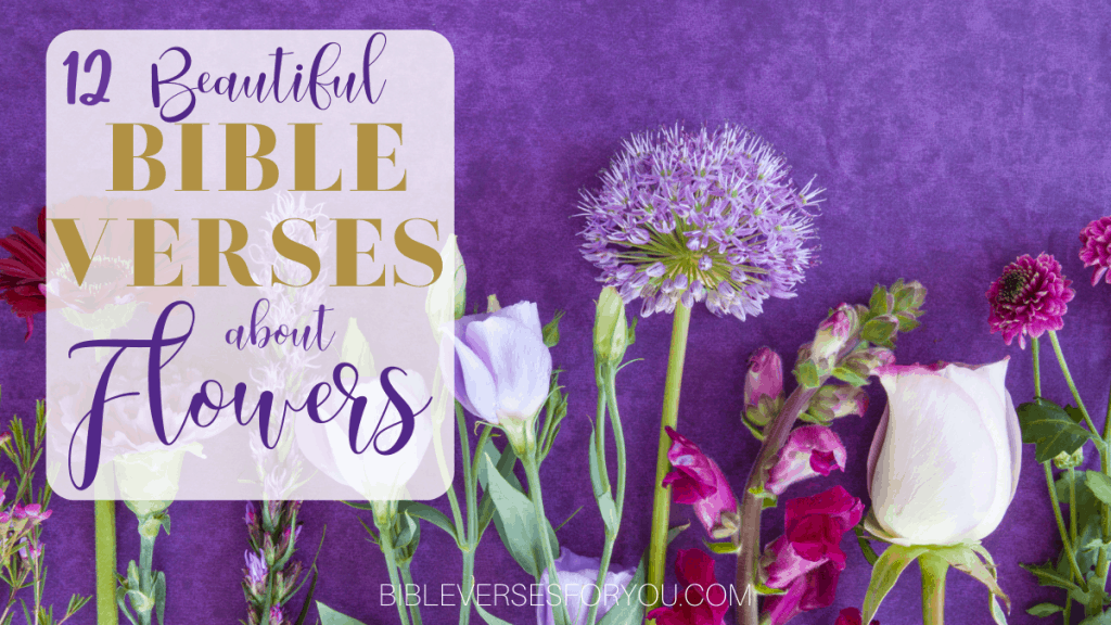 Here are 12 Bible Verses about flowers including their what the symbolism is in the Bible.