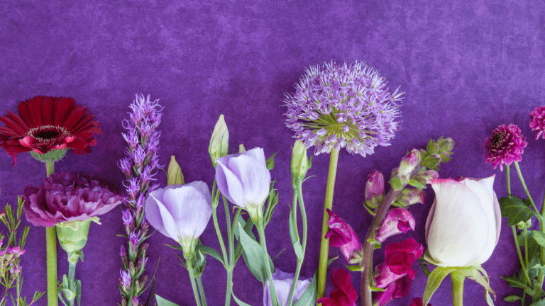 12 Beautiful Bible Verses about Flowers