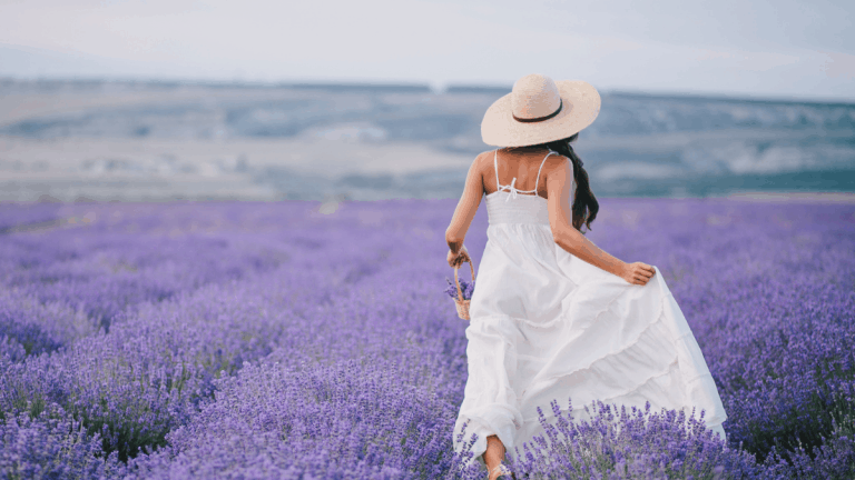 12 Key Bible Verses on Freedom